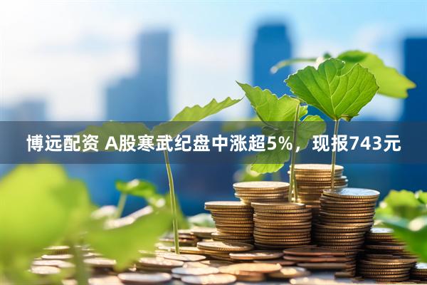 博远配资 A股寒武纪盘中涨超5%，现报743元