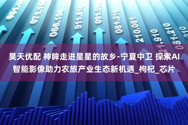 昊天优配 神眸走进星星的故乡-宁夏中卫 探索AI智能影像助力农旅产业生态新机遇_枸杞_芯片